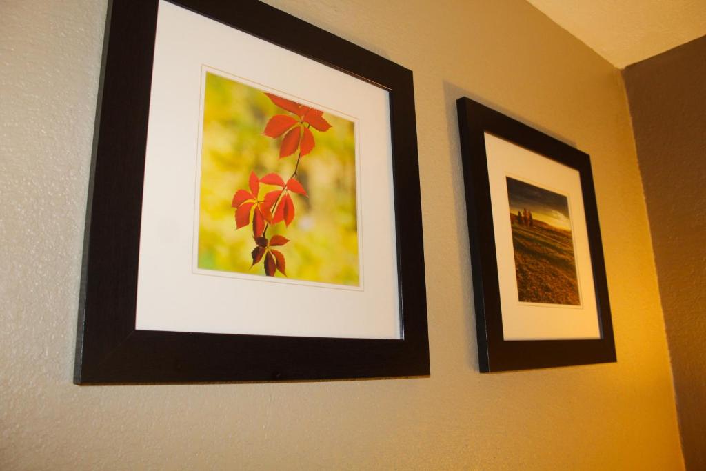 Queen Room – Disability Access