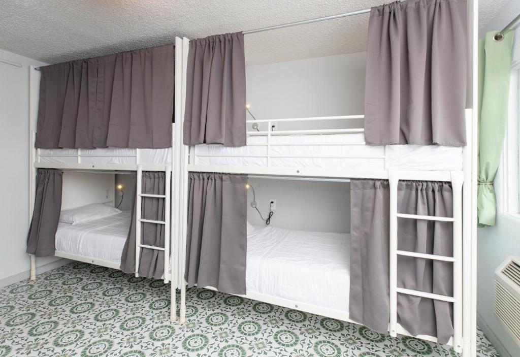 Bunk Bed in 6-Bed Female Dormitory Room