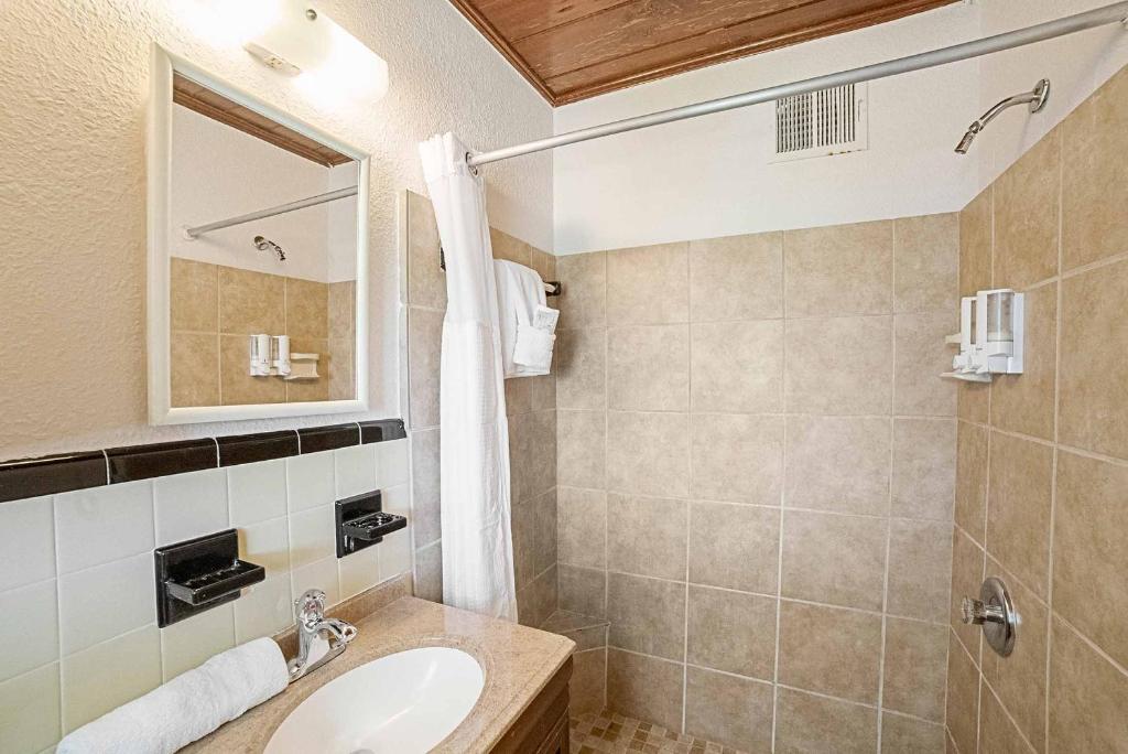 One-Bedroom with Bay View