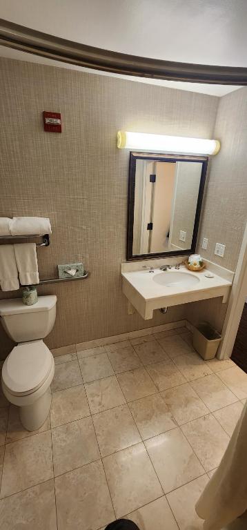 King Room – Disability Access