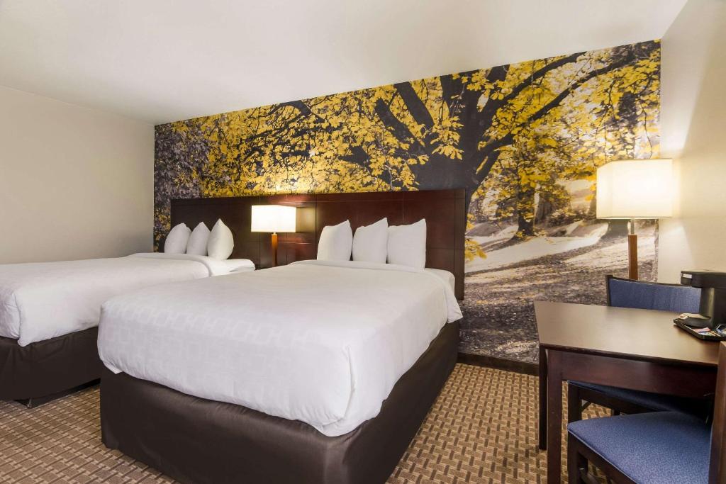 Double Room with Two Double Beds – Non-Smoking