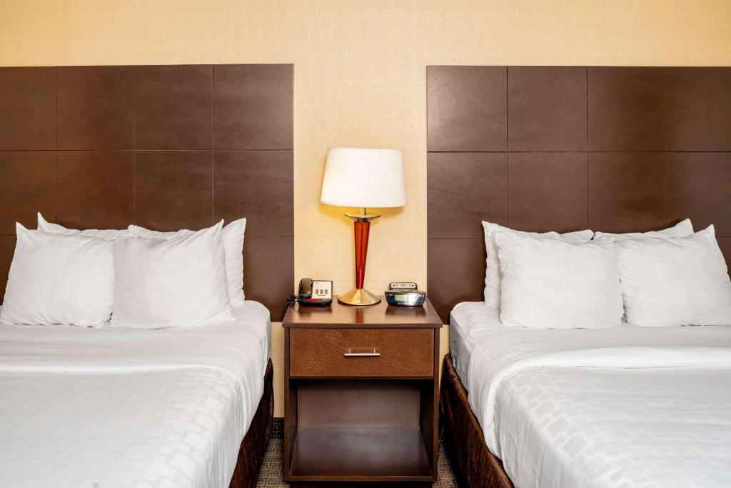 Double Suite – Non-Smoking