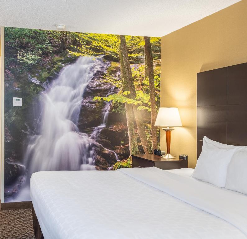 King Room – AccessibleNon-Smoking