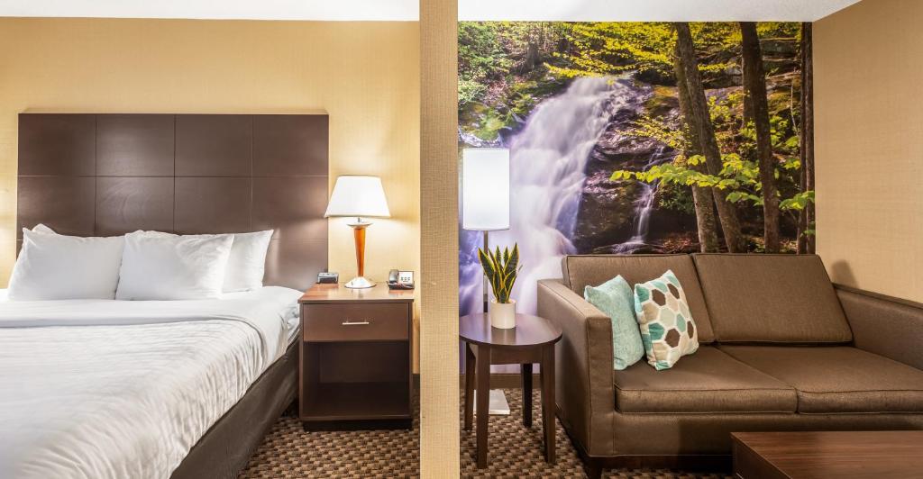 Superior King Suite – Non SmokingPet Friendly