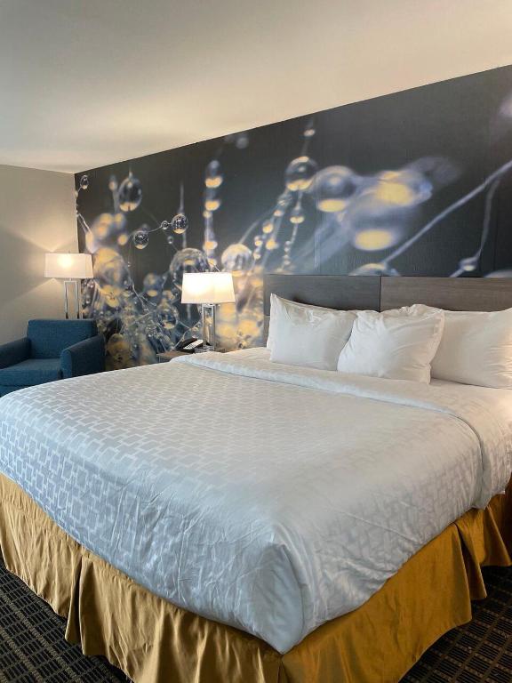 King Room – AccessibleNon-Smoking