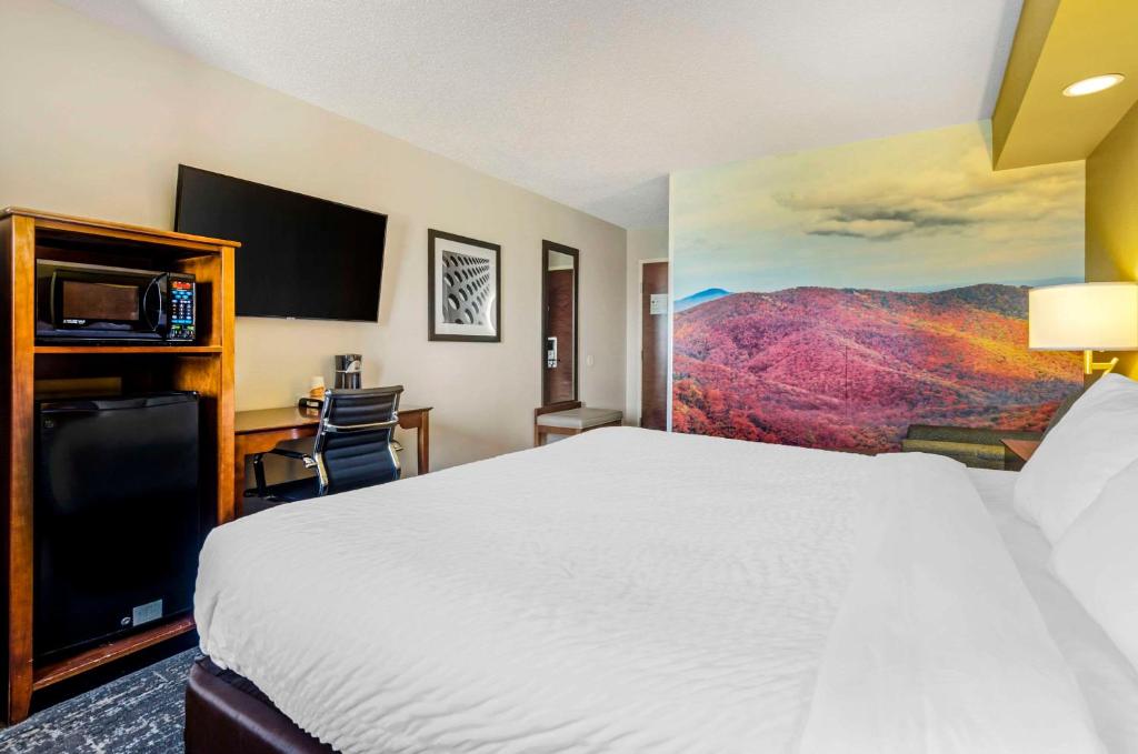 King Room – Non-Smoking