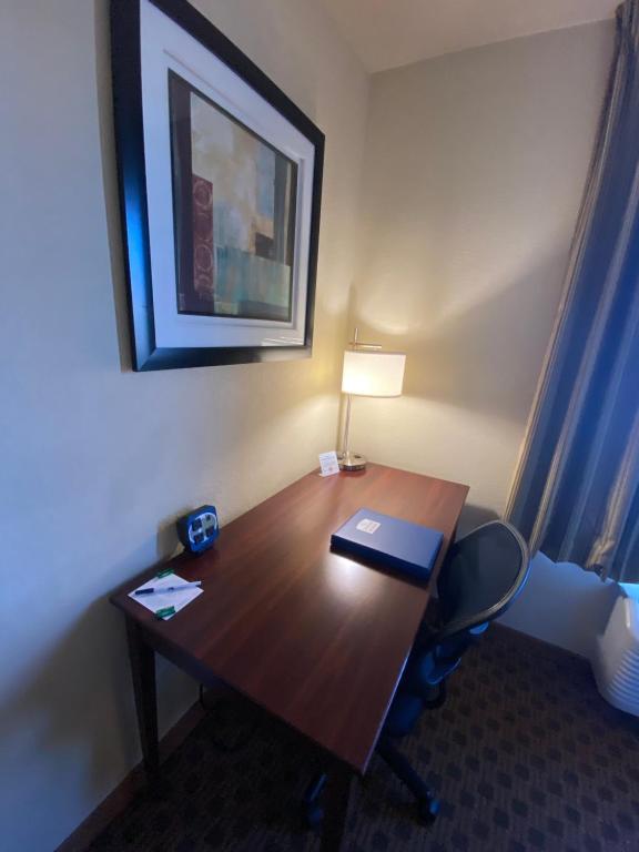 Single Room – Disability Access