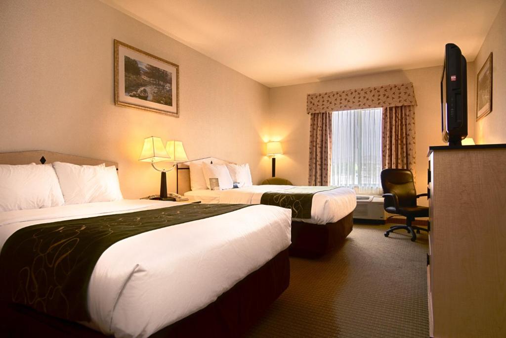 Queen Room with Two Queen Beds – Non-Smoking