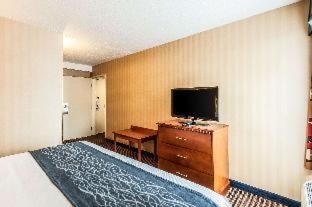 King Room – Non SmokingPet Friendly