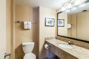 King Room – Non SmokingPet Friendly