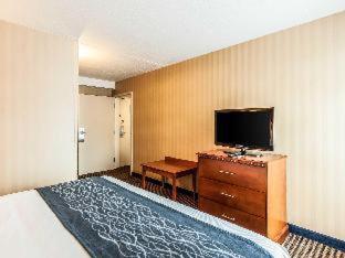 King Room – Non SmokingPet Friendly