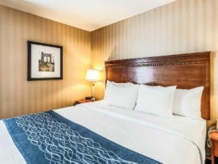 King Room – Non SmokingPet Friendly