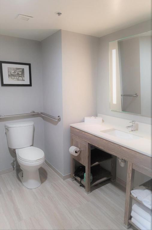 King Room with Roll-in-Shower – AccessibleNon Smoking