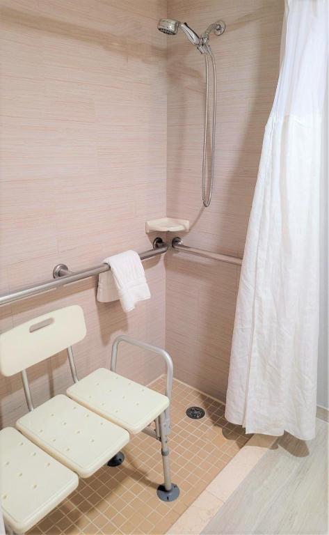 King Room with Roll-in-Shower – AccessibleNon Smoking