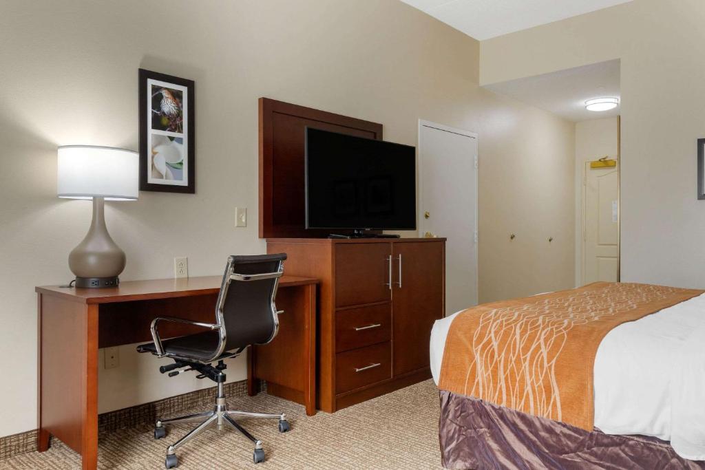 King Room – Non-Smoking