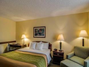 King Room with Tub – Mobility AccessibleNon Smoking