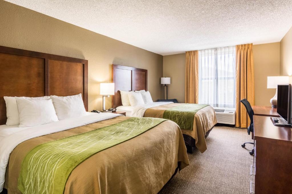 Queen Room with Two Queen Beds – Non-Smoking