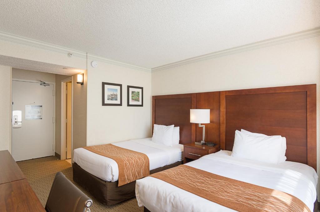 Standard Twin Room – Non-Smoking