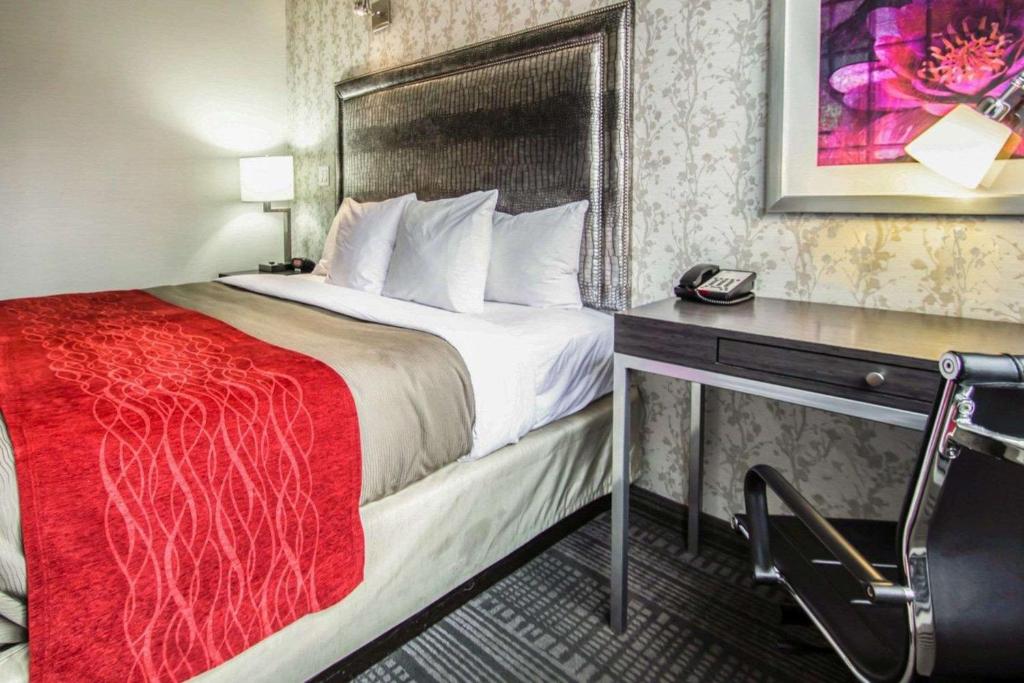 King Room – Non-Smoking