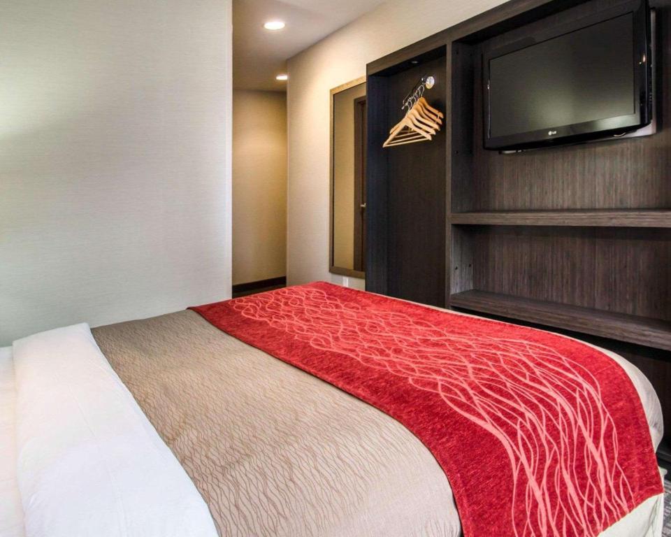 Queen Room – Non-Smoking