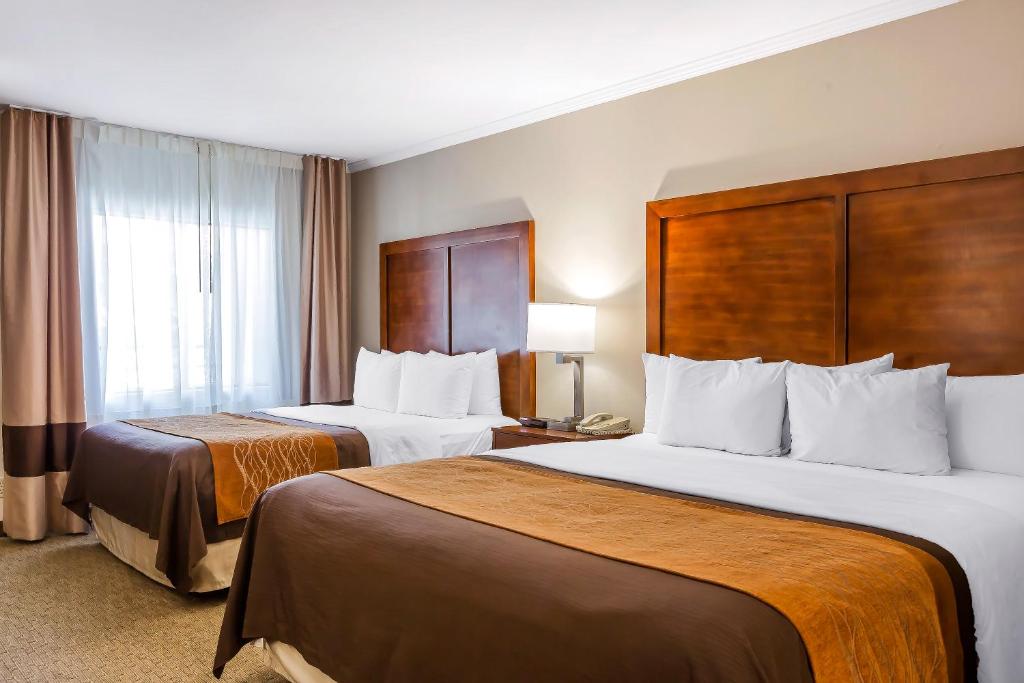 Standard Room 1 King Bed and 1 Queen Bed Non Smoking