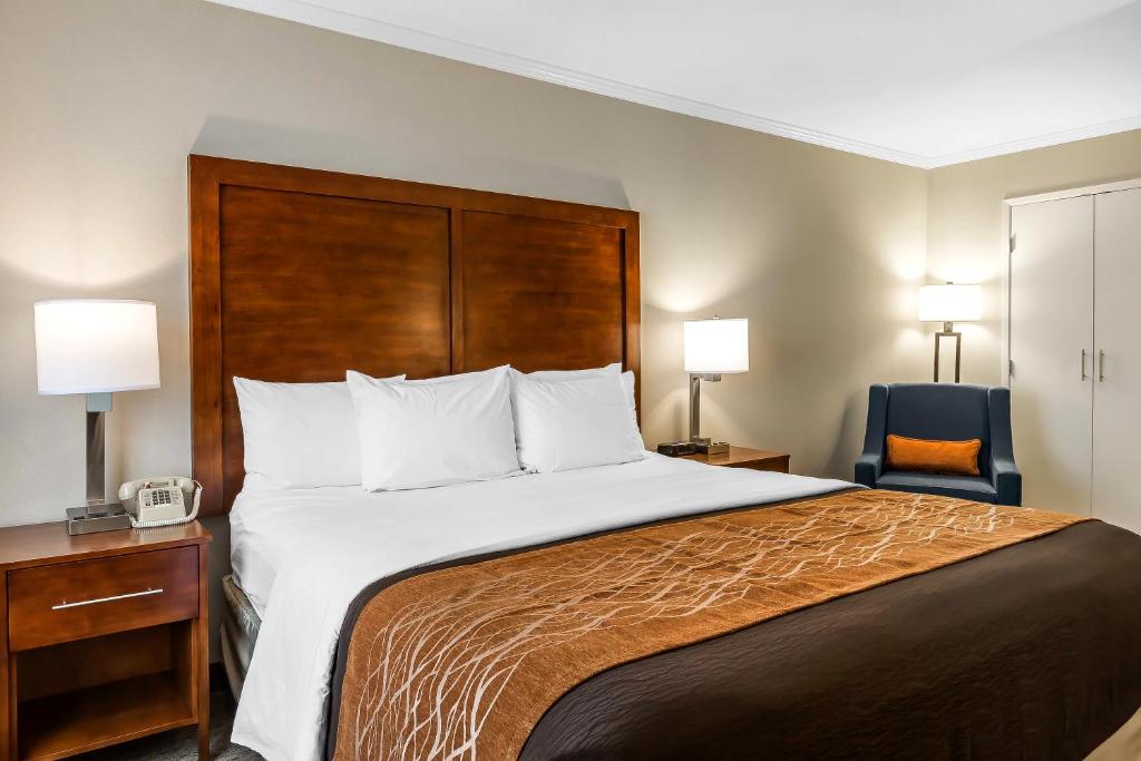 Standard Room 1 King Bed Non Smoking