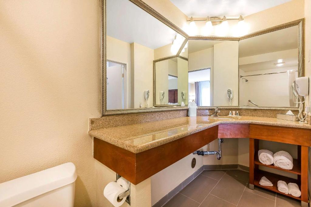 Standard Room 1 King Bed with Sofa Bed Non Smoking