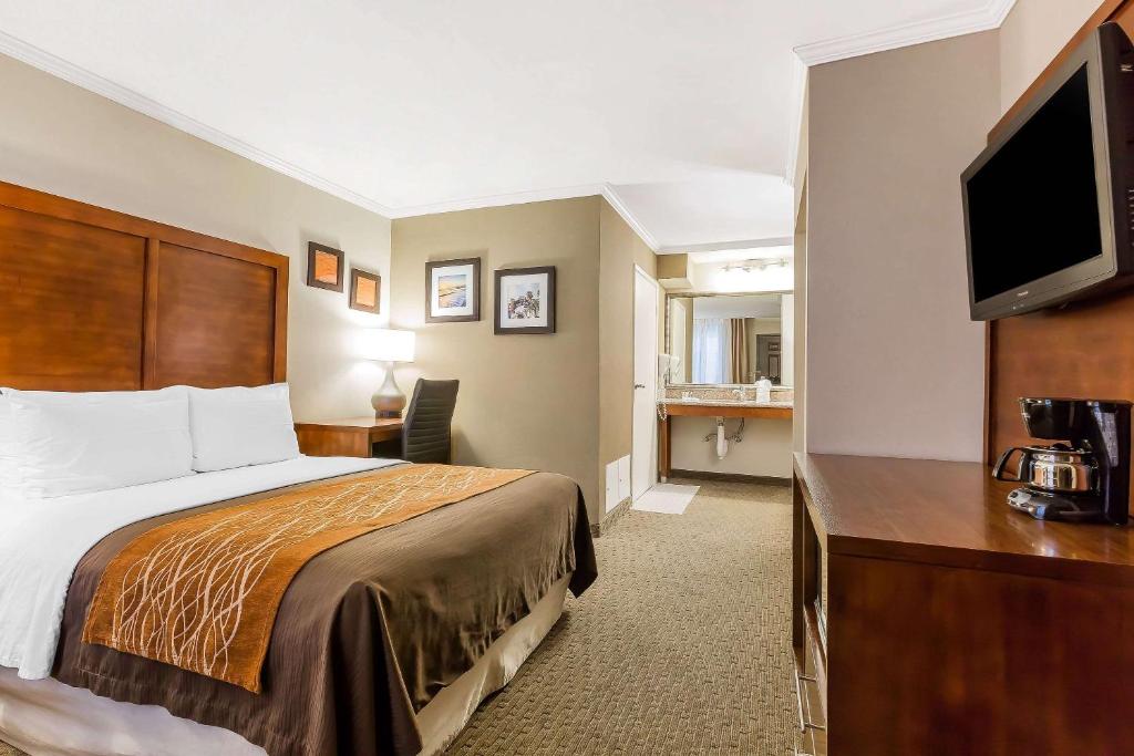 Standard Room 1 Queen Bed Accessible Roll-In Shower Courtyard View