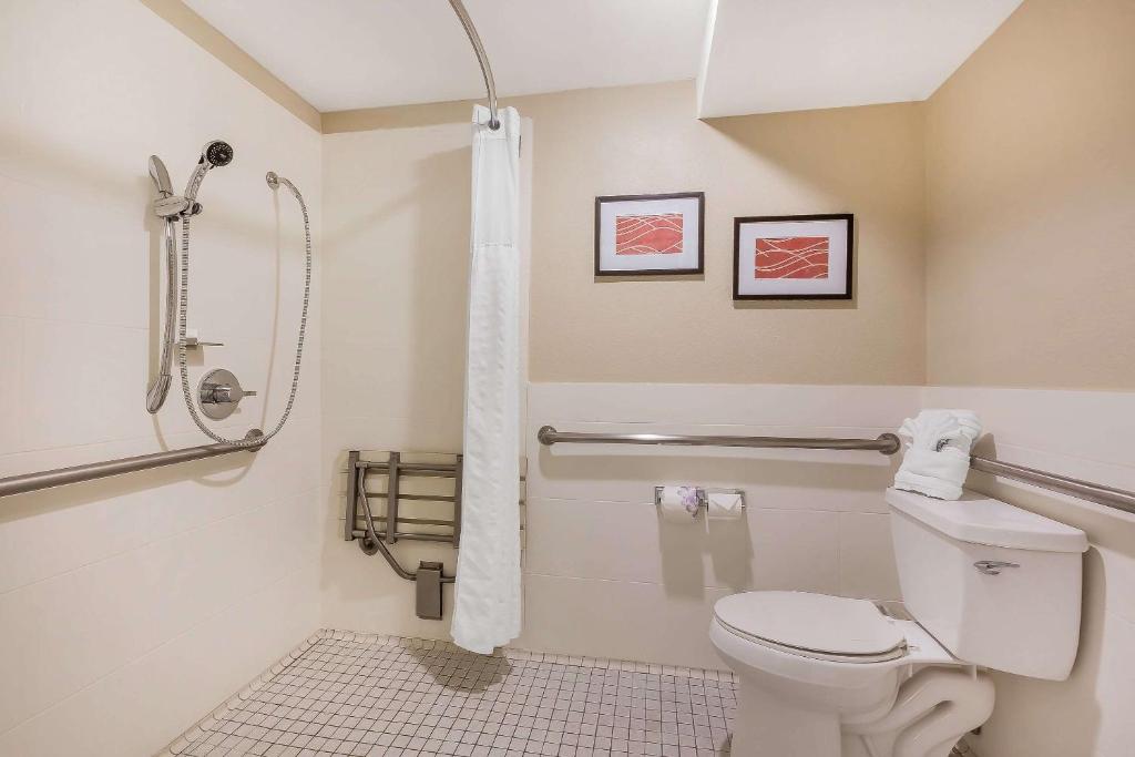 Standard Room 1 Queen Bed Accessible Roll-In Shower Courtyard View