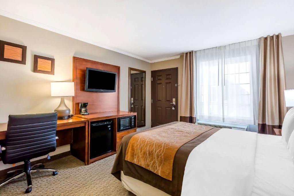 Standard Room 1 Queen Bed Accessible Roll-In Shower Courtyard View