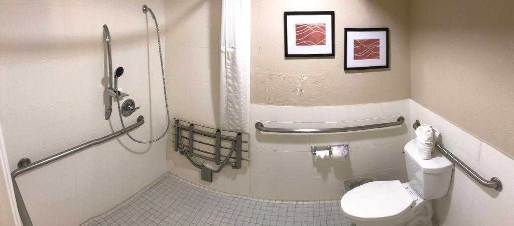 Standard Room 1 Queen Bed Accessible Roll-In Shower Courtyard View