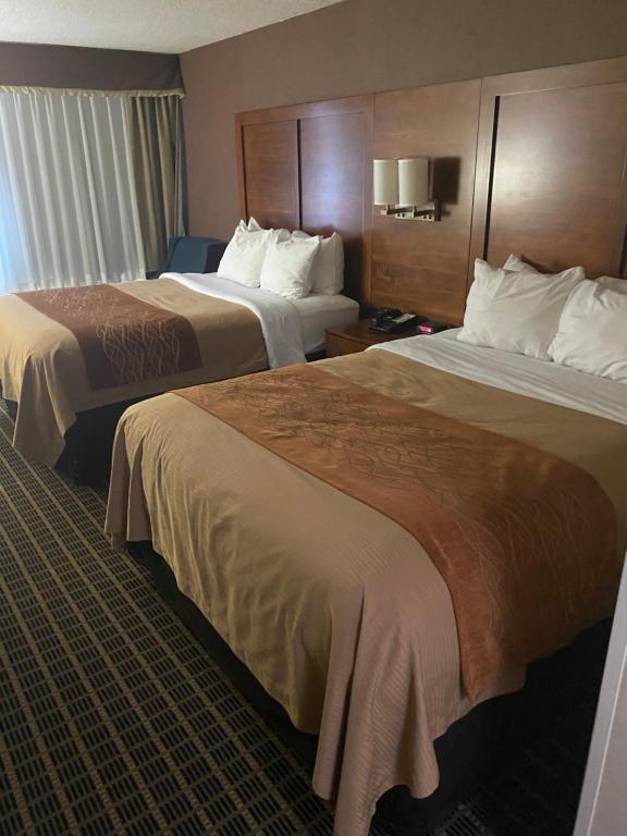 Queen Room with Two Queen Beds – Non-Smoking