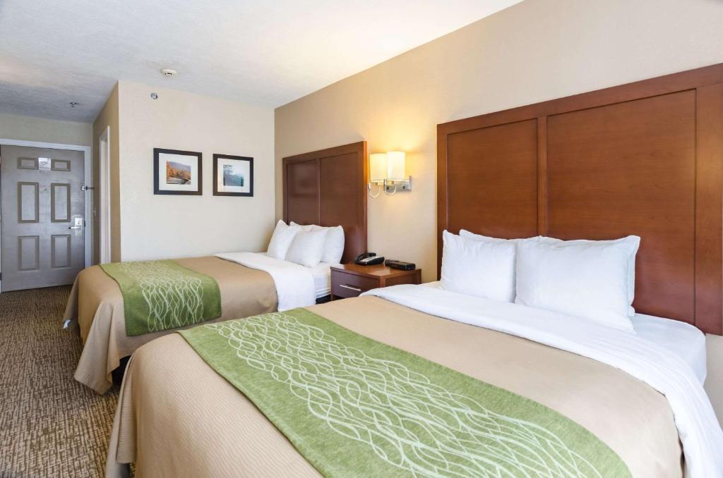 Standard Queen Room with Two Queen Beds