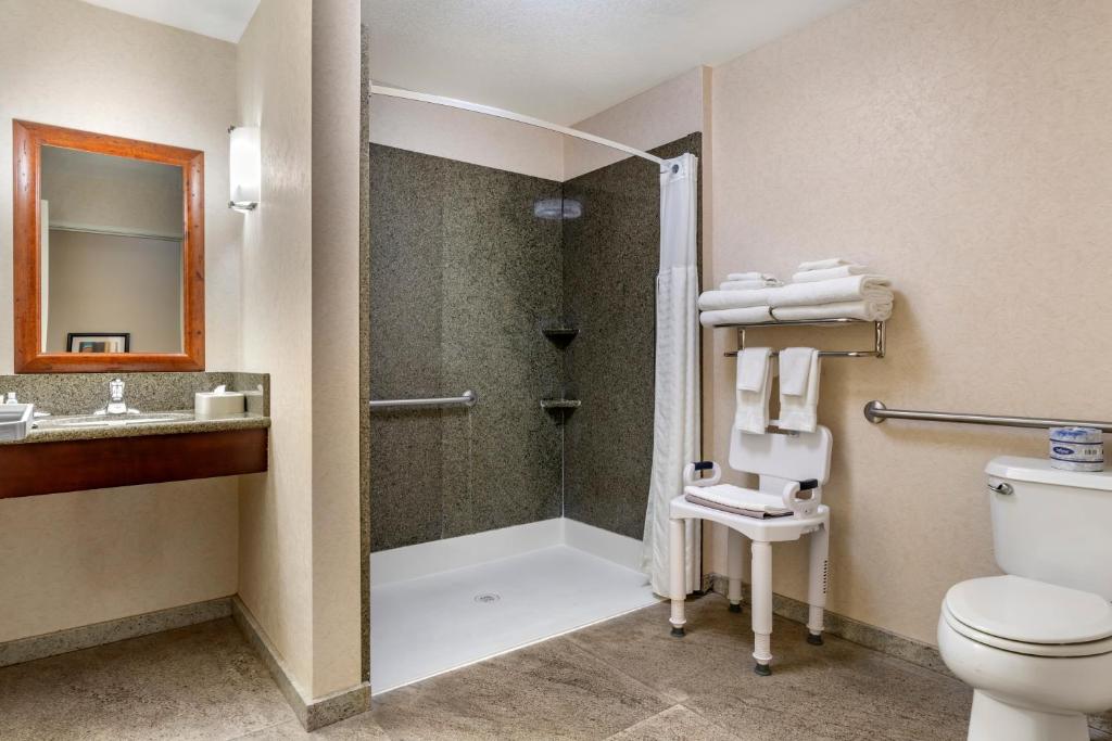 King Suite with  Roll-in-Shower – AccessibleNon-Smoking