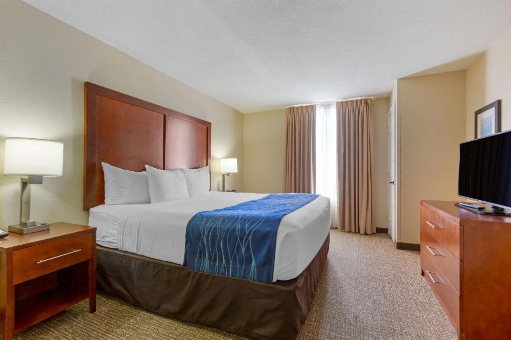 King Suite with Sofa Bed