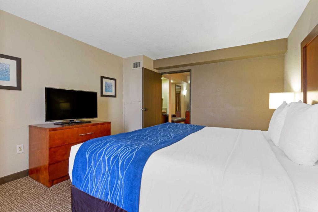 King Suite with Sofa Bed