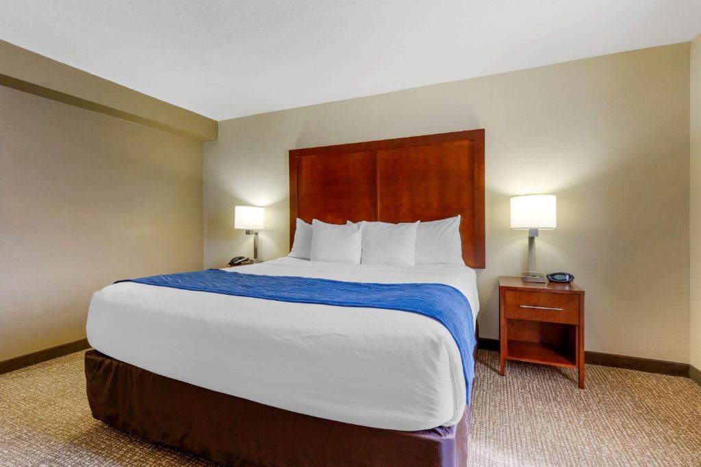 King Suite with Sofa Bed