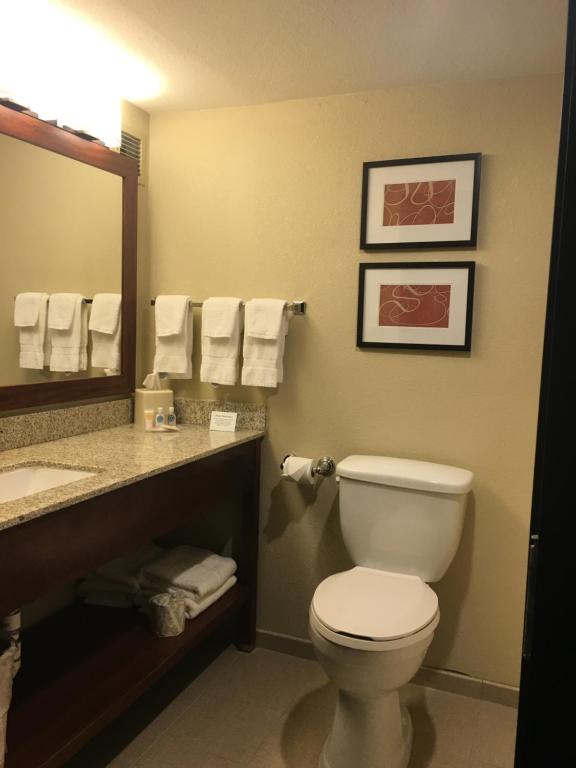 One-Bedroom King Suite – Disability Access