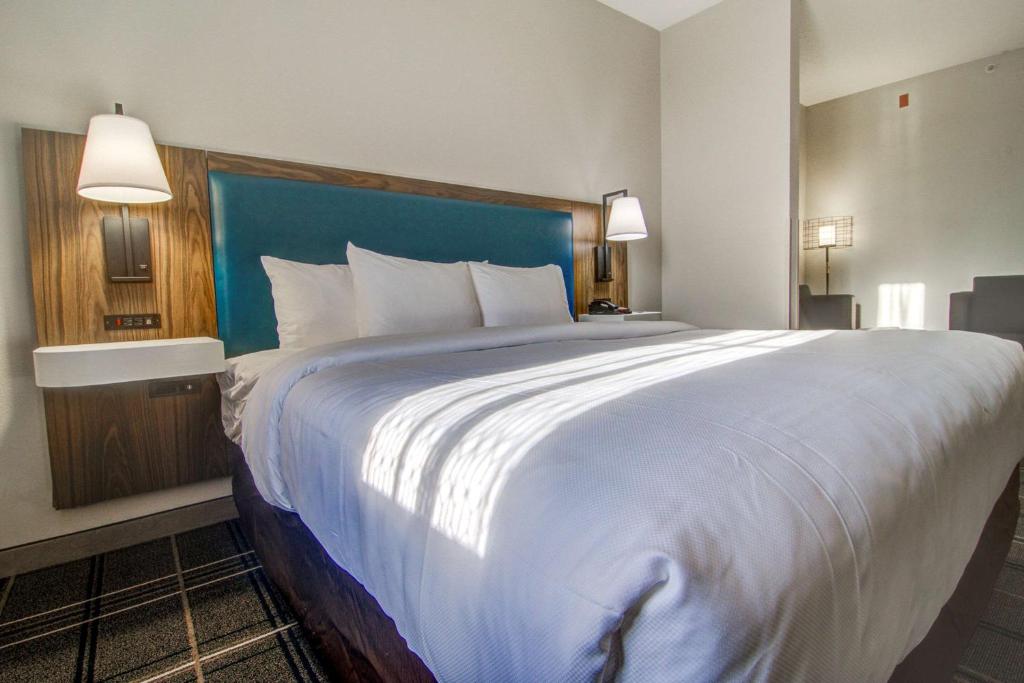 King Suite with Sofa-Bed