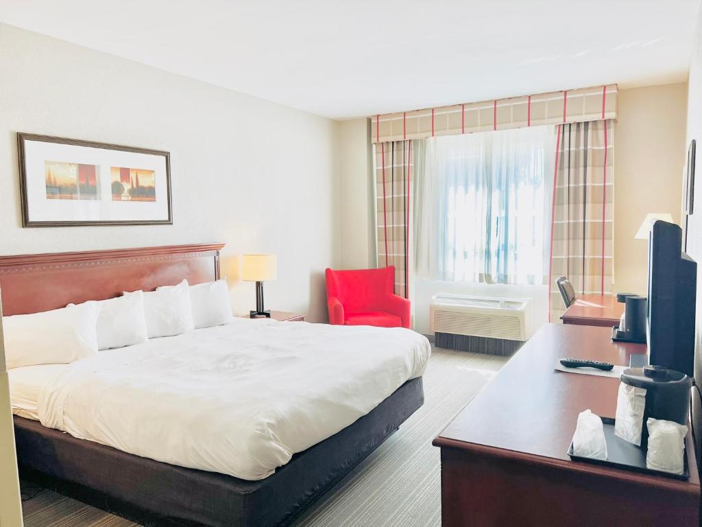 King Room – Non-Smoking