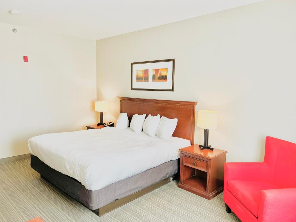 King Room – Non-Smoking