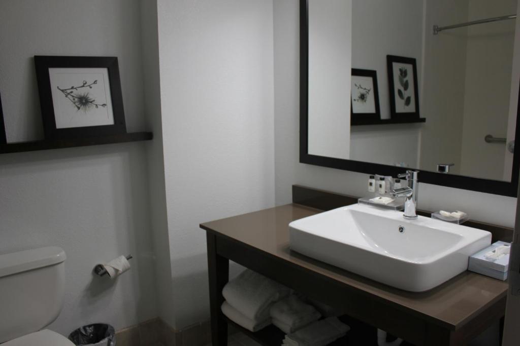 One-Bedroom King Suite with Sofa Bed