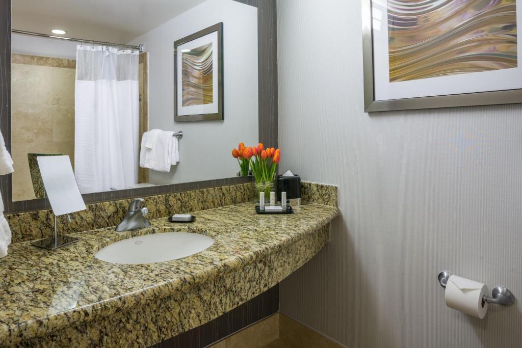 King Room with Sofa Bed and Adapted Tub – Mobility and Hearing Accessible