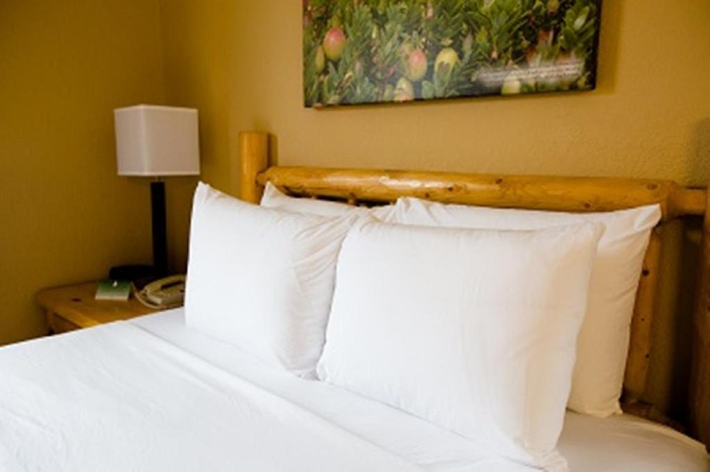 King Suite with Spa Bath