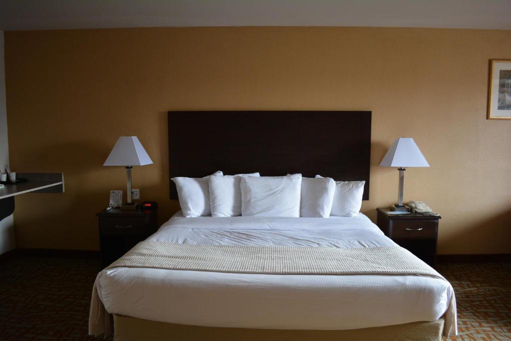 Queen Room – Non-Smoking