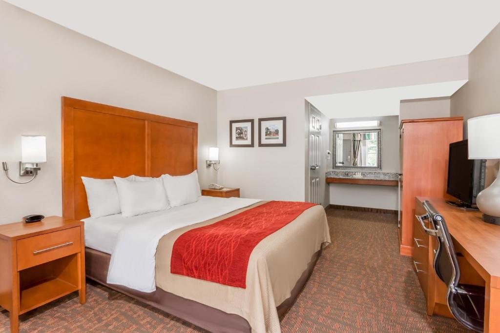 Room with Two Double Beds – Non-Smoking