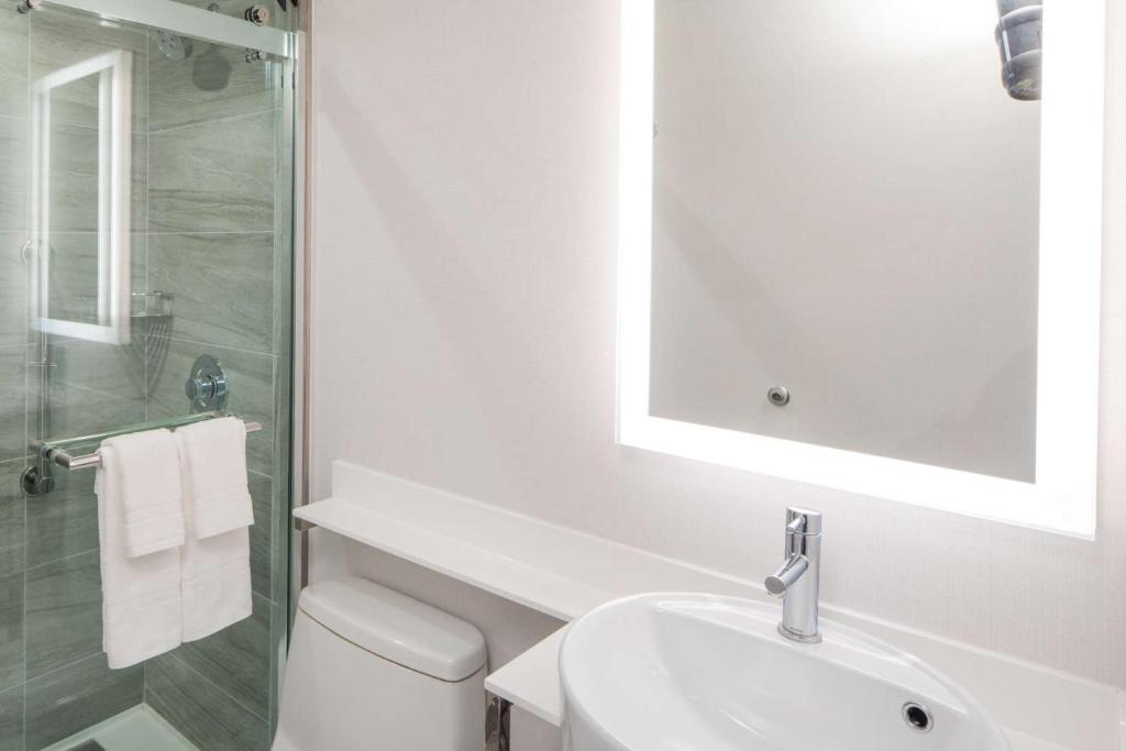 King Room with Roll-In Shower – Mobility Accessible