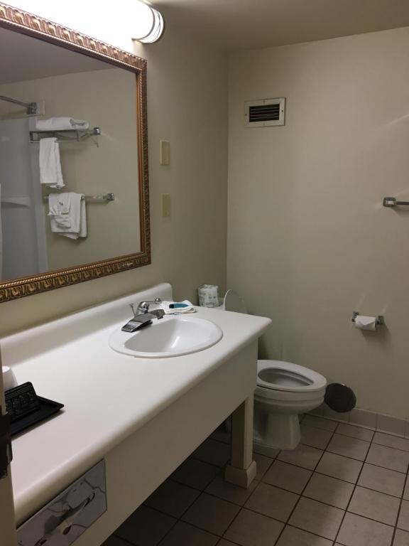 Efficiency Queen Room – Non-Smoking