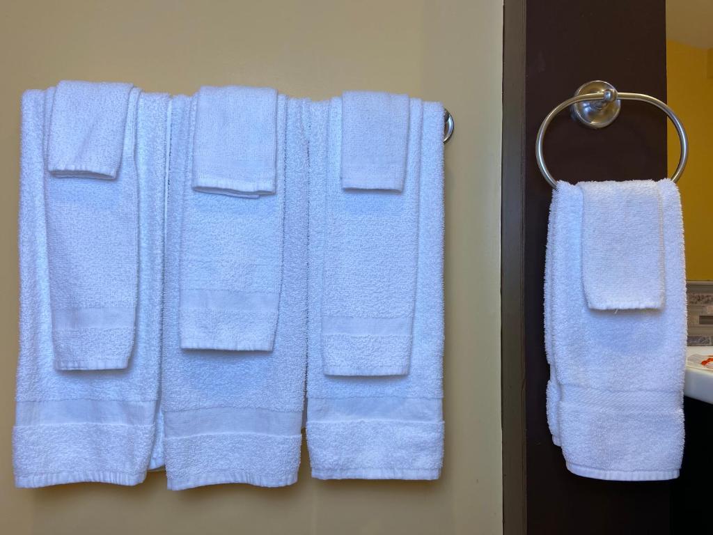 Deluxe Suite with Spa Bath