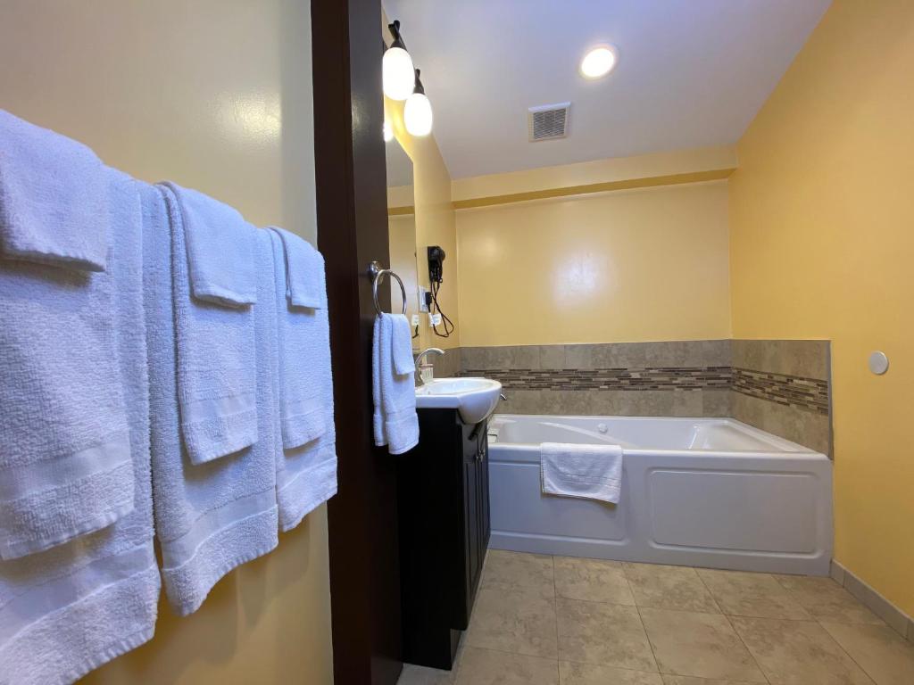 Deluxe Suite with Spa Bath